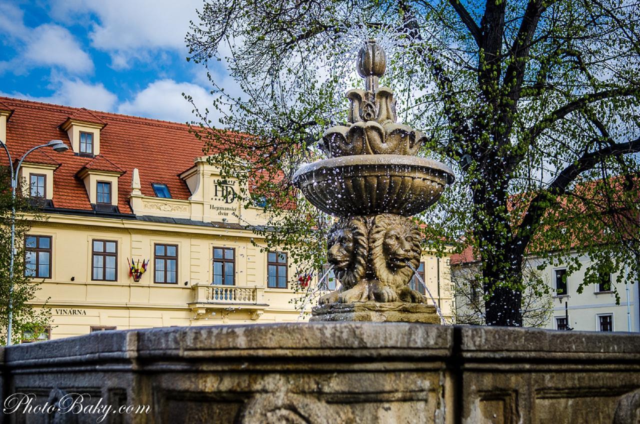Hotel Hejtmansky Dvur Slaný Zewnętrze zdjęcie